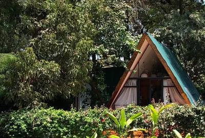 1 Bed House with En Suite at Karen - 2