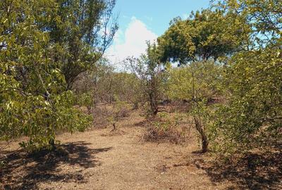 Land at Near Munarani - 2