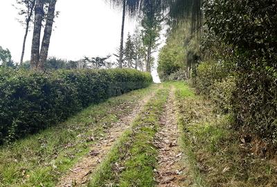 0.125 ac Land in Limuru