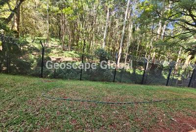 4 Bed Apartment with En Suite in Spring Valley - 4