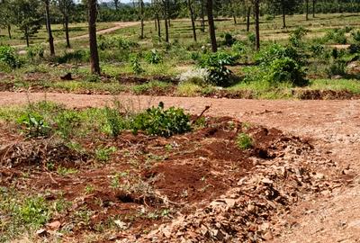 Residential Land at Gatanga Road - 4