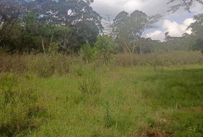 0.5 ac Residential Land in Karen - 3