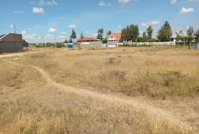 Commercial Land at Chuna - 4