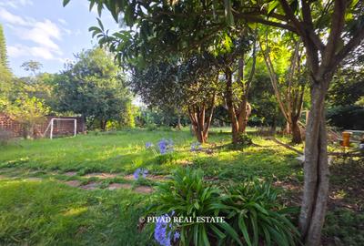 4.5 ac Land at Karen Miotoni - 2