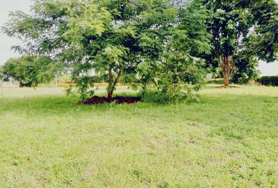 3.5 ac Commercial Land in Karen