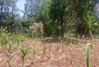 Land at Ololua Ridge - 3