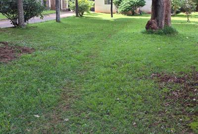 Land in Kileleshwa - 4