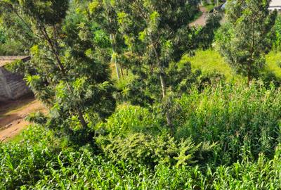0.09 ac Residential Land at Migaa Golg Road - 4