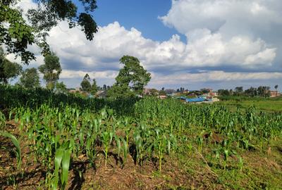 0.104 ac Land in Githunguri - 2