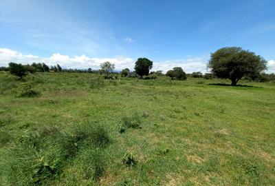 5 ac Residential Land at Nanyuki