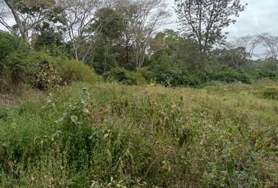 Residential Land at Oloolua Ridge - 2