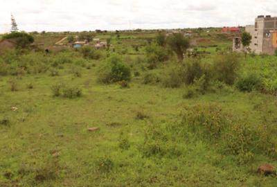 10 ac Land at Witeithie