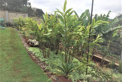 Serviced 2 Bed Apartment with En Suite in Kitisuru