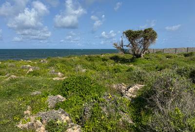 Land in Watamu