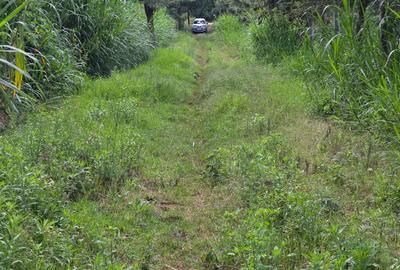 Land at Rwacumari