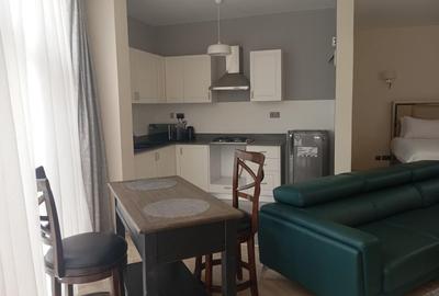 Furnished Studio Apartment with Swimming Pool at Muthangari Road Westlands Nairobi - 4