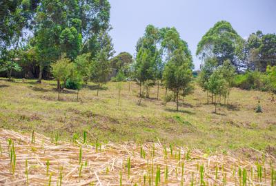 Land in Kikuyu Town