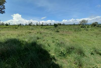 5 ac Residential Land at Nanyuki - 2