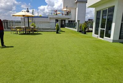 Serviced 1 Bed Apartment with En Suite in Westlands Area - 2