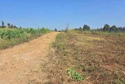 0.49 ac Residential Land in Runda - 2