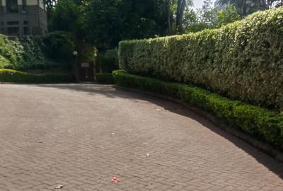 5 Bed House at Rosslyn Lone Tree - 4