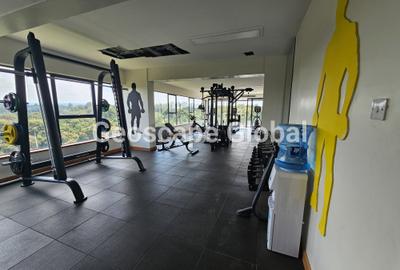 4 Bed Apartment with En Suite in Spring Valley - 2