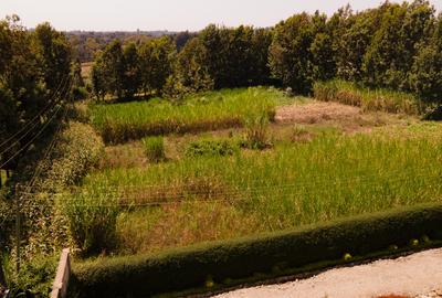 1 ac Land in Karen - 3