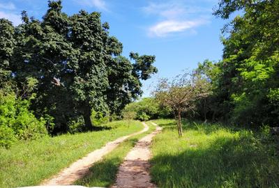 Land at Vipingo Kuruwitu Beach - 2