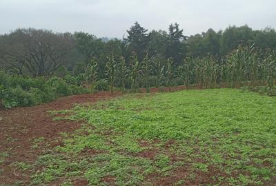0.5 ac Residential Land in Redhill - 4