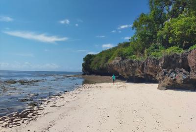 Land at Kuruwitu Beach Vipingo