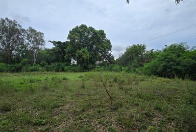 2 ac Land at Animo - 4