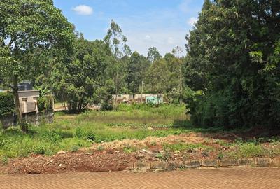 0.25 ac Residential Land at Paradise Lost Road - 4
