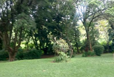 5 Bed House in Gigiri - 2