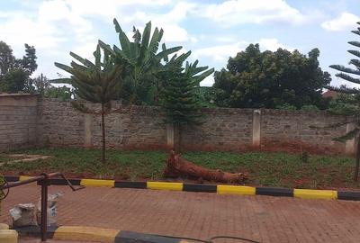5 Bed House with En Suite in Ruiru - 2