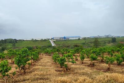 35 ac Land in Tatu City - 2