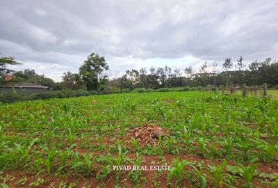 0.5 ac Land in Ridgeways