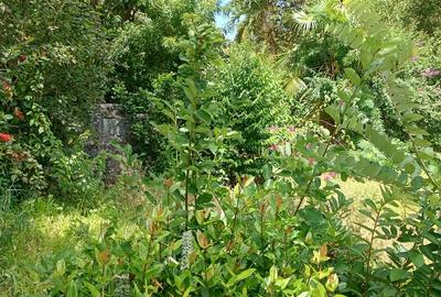 Residential Land at Malindi - 2