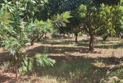 450 ha Residential Land at Sucess Garden Kenol Makuyu - 3