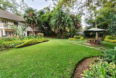 Commercial Property with Fibre Internet in Lavington