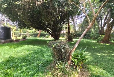 5 Bed House with En Suite in Karen - 4