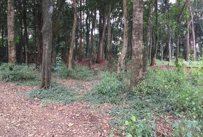 Residential Land in Karen - 2