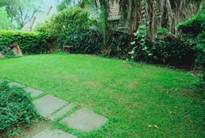 4 Bed Townhouse with En Suite at Lavington Green