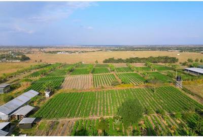 5,000 ft² Land at Kisaju Behind Kenchick