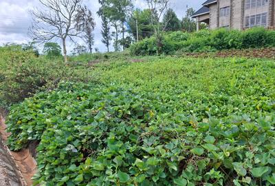 0.25 ac Land in Runda - 2