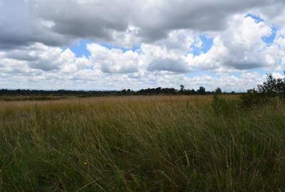0.0125 ac Land at Bob Harris Road