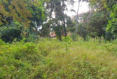 1 ac Land at Runda Paradise