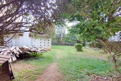 7 Bed House with En Suite in Kileleshwa