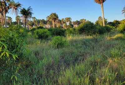 Land for Sale in Kwale County