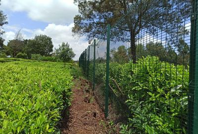 0.5 ac Residential Land at Limuru Girls