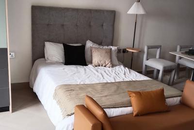 Studio Apartment with En Suite at Podium Road